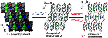 Graphical abstract: Co-crystal of [CuCl4]2− and L1 and its inclusion compounds with three different guests (L1 = N,N,N′,N′-tetra-p-methoxybenzyl-ethylenediamine)