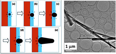 Graphical abstract: Growth mechanism of C60/mesitylene nanowires