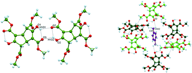 Graphical abstract: Different crystal forms of a rich hydrogen bond acceptor compound resulting from alternative C–H⋯O and orthogonal C [[double bond, length as m-dash]] O⋯C [[double bond, length as m-dash]] O molecular interaction patterns