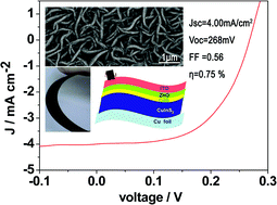 Graphical abstract: In situ preparation of CuInS2 films on a flexible copper foil and their application in thin film solar cells