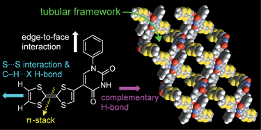 Graphical abstract: Redox-active tubular frameworks with TTF: self-assemblies by complementary hydrogen-bonds and π-stacks of TTF-phenyluracil