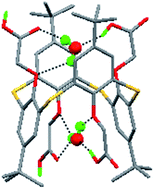 Graphical abstract: Invariant water inclusion property of 1,3-alternate p-tert-butylthiacalix[4]arene tetra-methyleneoxycarboxylic acid