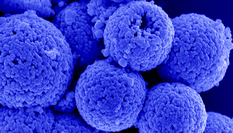 Graphical abstract: Synthesis of CdMoO4 microspheres by self-assembly and photocatalytic performances