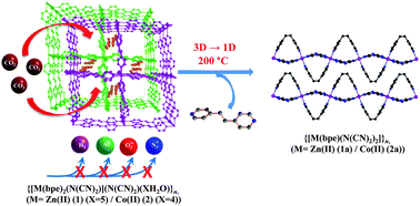 Graphical abstract: Selective carbon dioxide uptake and crystal-to-crystal transformation: porous 3D framework to 1D chain triggered by conformational change of the spacer