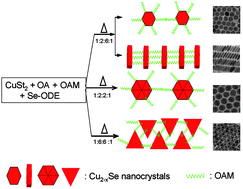 Graphical abstract: Size-, shape-, and assembly-controlled synthesis of Cu2−xSe nanocrystalsvia a non-injection phosphine-free colloidal method