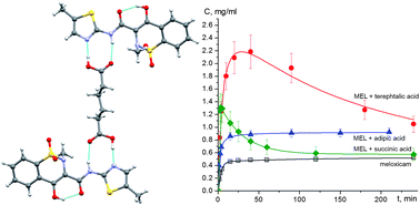 Graphical abstract: Are meloxicam dimers really the structure-forming units in the ‘meloxicam–carboxylic acid’ co-crystals family? Relation between crystal structures and dissolution behaviour