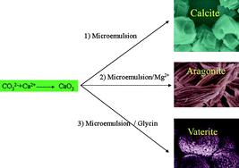Graphical abstract: Complex calcium carbonate aggregates: controlled crystallization and assemblyvia an additive-modified positive-microemulsion-route