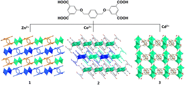 Graphical abstract: Structural diversity and properties of coordination polymers built from a semi-rigid tetradentenate carboxylic acid
