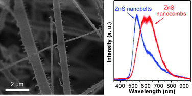 Graphical abstract: Controlled synthesis of ZnS nanocombs by self-evaporation using ZnS nanobelts as source and substrates