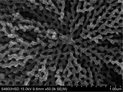 Graphical abstract: Ag loaded flower-like BaTiO3 nanotube arrays: Fabrication and enhanced photocatalytic property