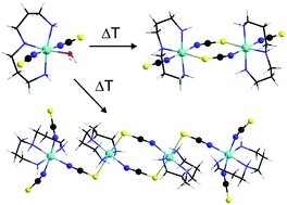 Graphical abstract: New nickel(ii) thiocyanato coordination compounds: synthetic aspects, polymorphism, thermal reactivity and magnetic properties
