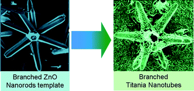 Graphical abstract: Template-assisted generation of three-dimensionally branched titania nanotubes on a substrate