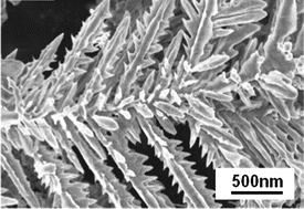 Graphical abstract: Electrolytic approach towards the controllable synthesis of symmetric, hierarchical, and highly ordered nickel dendritic crystals