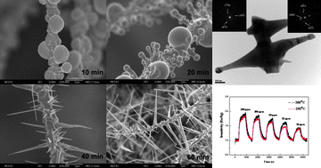 Graphical abstract: Self-catalytic growth of hierarchical In2O3 nanostructures on SnO2 nanowires and their CO sensing properties
