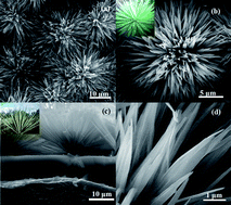 Graphical abstract: Single crystal titanate–zirconate nanoleaf: Synthesis, growth mechanism and enhanced photocatalytic hydrogen evolution properties
