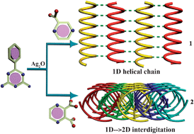 Graphical abstract: Syntheses, crystal structures and photoluminescent properties of two novel Ag(i) coordination polymers with benzoguanamine and pyrazine-carboxylate ligands: From 1D helix to 1D → 2D interdigitation