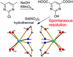 Graphical abstract: Spontaneous resolution of lanthanide coordination polymers with 2-hydroxypyrimidine-4,6-dicarboxylic acid