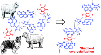 Graphical abstract: Radicals organized by disk shaped aromatics – polymorphism and co-crystals that tune inter-electron exchange