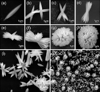 Graphical abstract: Facile room temperature morphology-controlled synthesis of SrSO4 microcrystals