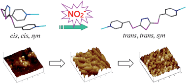 Graphical abstract: Anion-controlled conformational variation: Structural modulation and anion exchange of Ag(i) coordination networks