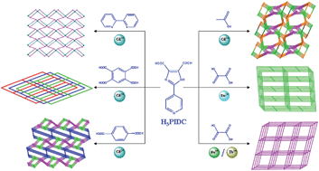 Graphical abstract: Secondary ligand-directed assembly of metal–organic coordination polymers based on a 2-(pyridin-4-yl)-1H-imidazole-4,5-dicarboxylic acid ligand: Syntheses, structures and photoluminescent properties