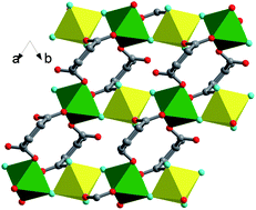 Graphical abstract: Metamagnetic behavior and moisture-absorption induced reversible network assembly of a cobalt-1,2,4-benzenetricarboxylate supramolecular network