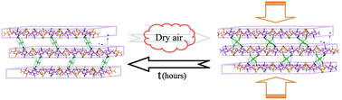 Graphical abstract: Dryness sensitive porous 3d–4f metal–organic framework with unusual dynamic behaviour