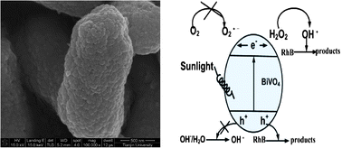 Graphical abstract: Sunlight-driven degradation of Rhodamine B by peanut-shaped porous BiVO4 nanostructures in the H2O2-containing system