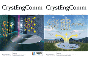 Graphical abstract: Front cover