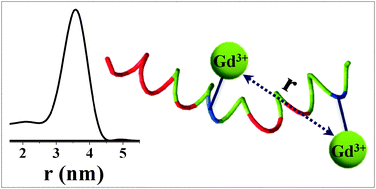 Graphical abstract: W-Band pulse EPR distance measurements in peptides using Gd3+–dipicolinic acid derivatives as spin labels
