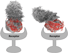 Graphical abstract: Complexity in molecular recognition