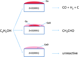 Graphical abstract: Reaction pathways for ethanol on model Co/ZnO(0001) catalysts