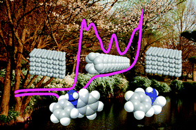 Graphical abstract: Impurities within carbon nanotubes govern the electrochemical oxidation of substituted hydrazines