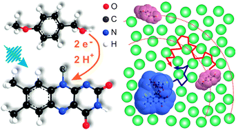 Graphical abstract: Unraveling the flavin-catalyzed photooxidation of benzylic alcohol with transient absorption spectroscopy from sub-pico- to microseconds