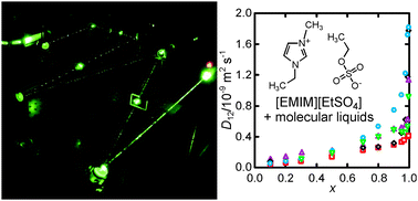 Graphical abstract: Mutual diffusion in binary mixtures of ionic liquids and molecular liquids by dynamic light scattering (DLS)