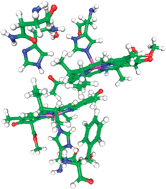 Graphical abstract: Acetyl group orientation modulates the electronic ground-state asymmetry of the special pair in purple bacterial reaction centers