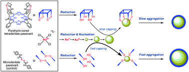 Graphical abstract: An in situ quick XAFS spectroscopy study on the formation mechanism of small gold nanoparticles supported by porphyrin-cored tetradentate passivants