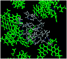 Graphical abstract: Modeling of hyperbranched polyesters as hosts for the multifunctional bioactive agent shikonin