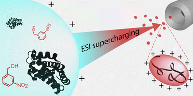 Graphical abstract: The role of conformational flexibility on protein supercharging in native electrospray ionization