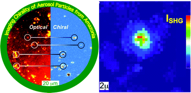 Graphical abstract: On molecular chirality within naturally occurring secondary organic aerosol particles from the central Amazon Basin