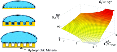 Graphical abstract: Model and experimental studies for contact angles of surfactant solutions on rough and smooth hydrophobic surfaces