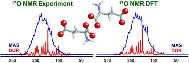 Graphical abstract: Ultra-high resolution 17O solid-state NMR spectroscopy of biomolecules: A comprehensive spectral analysis of monosodium L-glutamate·monohydrate