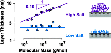 Graphical abstract: Molecular mass dependence of adsorbed amount and hydrodynamic thickness of polyelectrolyte layers