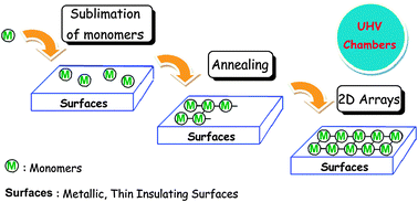 Graphical abstract: Covalent networks through on-surface chemistry in ultra-high vacuum: state-of-the-art and recent developments