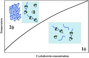 Graphical abstract: Temperature-controlled poly(propylene) glycol hydrophobicity on the formation of inclusion complexes with modified cyclodextrins. A DSC and ITC study