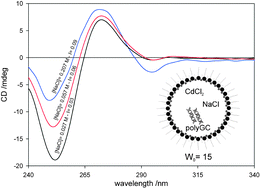 Graphical abstract: The CdCl2 effects on synthetic DNAs encaged in the nanodomains of a cationic water-in-oil microemulsion