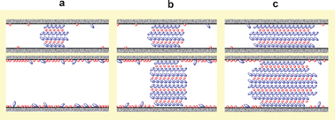 Graphical abstract: The phase (trans)formation and physical state of a model drug in mesoscopic confinement
