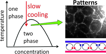 Graphical abstract: Pattern formation in phase separating binary mixtures