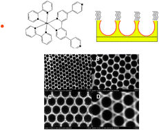 Graphical abstract: Regio-selective decoration of nanocavity metal arrays: contributions from localized and delocalized plasmons to surface enhanced Raman spectroscopy