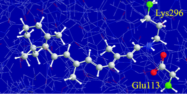 Graphical abstract: QM/MM calculation of protein magnetic shielding tensors with generalized hybrid-orbital method: A GIAO approach